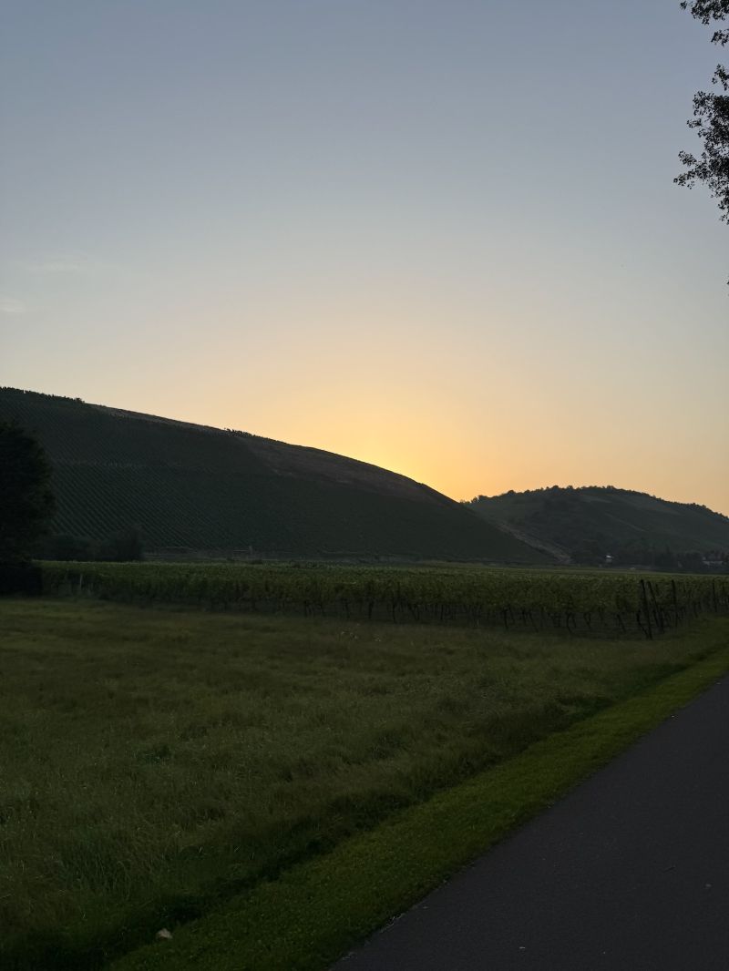 Last week, I needed a break: not because I was tired, but because I wanted to recharge my creativity.